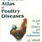 A Colour Atlas Of Poultry Diseases: An Aid For Farmers And Poultry Professionals