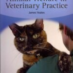 Animal Welfare in Veterinary Practice