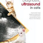 Diagnostic ultrasound in cats