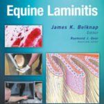 Equine Laminitis