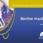 Essential guides on cattle farming. Bovine mastitis