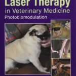 Laser Therapy in Veterinary Medicine: Photobiomodulation