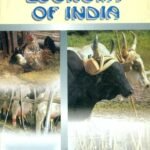 Livestock Economy Of India