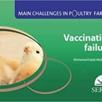 Main challenges in poultry farming. Vaccination failures