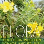 Flora of the Southern Western Ghats and Palnis