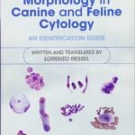Normal Cell Morphology in Canine and Feline Cytology: An Identification Guide