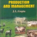 Sheep Production And Management