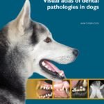 Visual atlas of dental pathologies in dogs