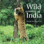 Wild Wonders of India