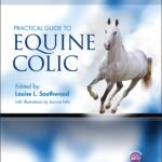 Practical Guide to Equine Colic