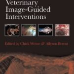 Veterinary Image-Guided Interventions