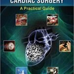 Minimally Invasive Cardiac Surgery: A Practical Guide