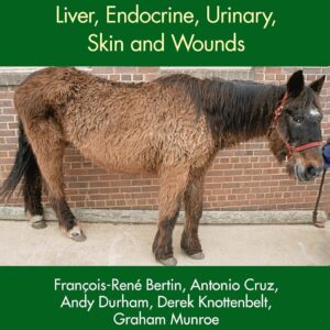 Concise Textbook of Equine Clinical Practice Book 4: Liver, Endocrine, Urinary, Skin and Wounds