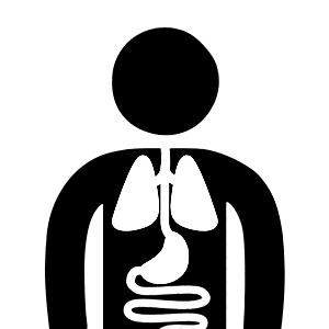 Mehul Traders 7 Anatomy