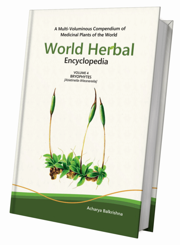 World Herbal Encyclopedia: Volume 4 - Bryophytes (Abietinella-Wiesnerella)