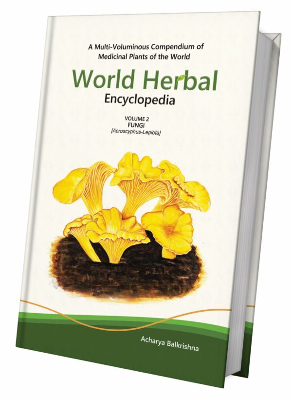 World Herbal Encyclopedia: Volume 2 -Fungi (Acroscyphus-Lepiota)