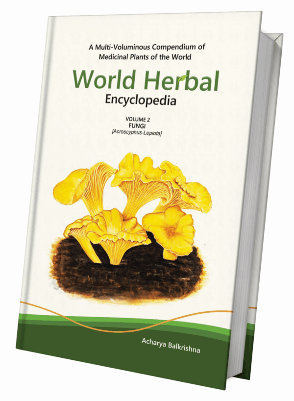 World Herbal Encyclopedia: Volume 2 -Fungi (Acroscyphus-Lepiota)