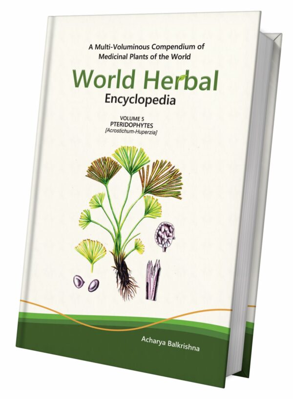 World Herbal Encyclopedia: Volume 5 - Pteridophytes (Acrostrichum-Huperzia)
