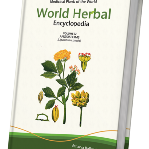 World Herbal Encyclopedia, Volume 62: Angiosperms (Ligusticum-Lomatia)