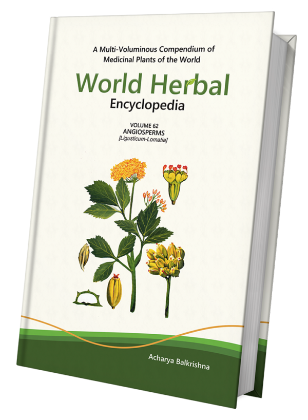 World Herbal Encyclopedia, Volume 62: Angiosperms (Ligusticum-Lomatia)
