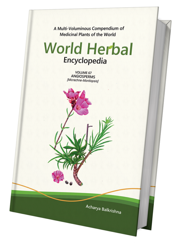 World Herbal Encyclopedia, Volume 67: Angiosperms (Micrachne-Montiopsis)