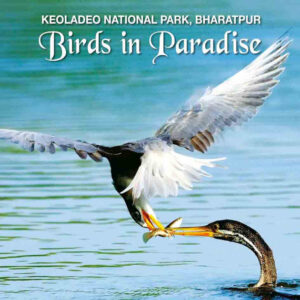 Birds in Paradise: Keoladeo National Park, Bharatpur