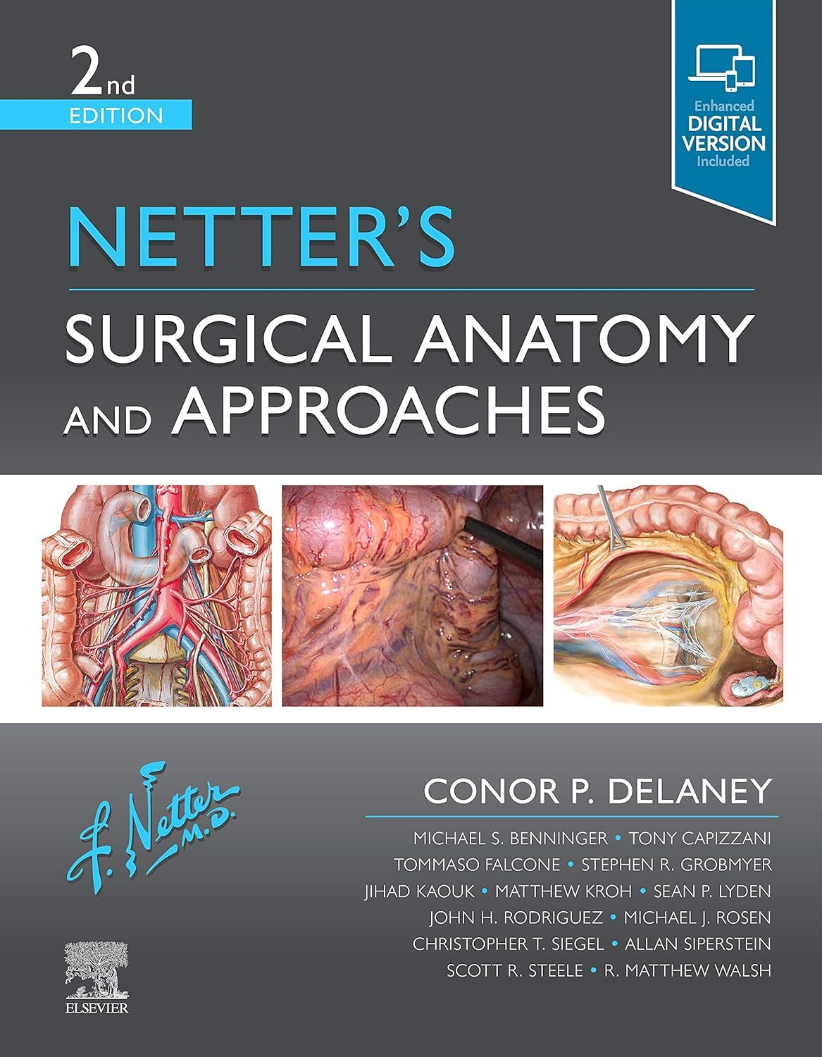 Netter's Surgical Anatomy and Approaches, 2nd Edition 1 Netter's Surgical Anatomy and Approaches, 2nd Edition